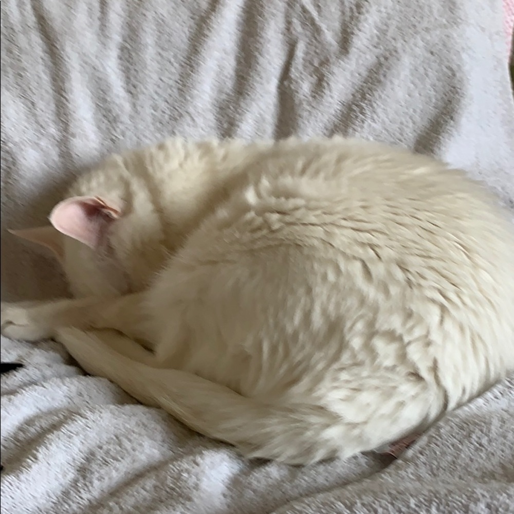 Meet your Posher, Mario